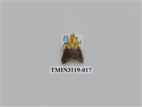 藏品(螟蛾223)的圖片